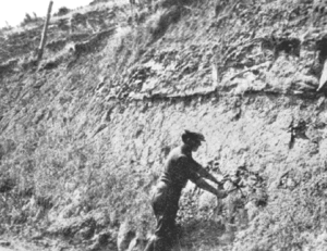 1915 Soil Reconnaissance Survey in San Diego - Montezuma Soil