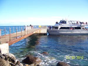 Island Packers Ferry Docking